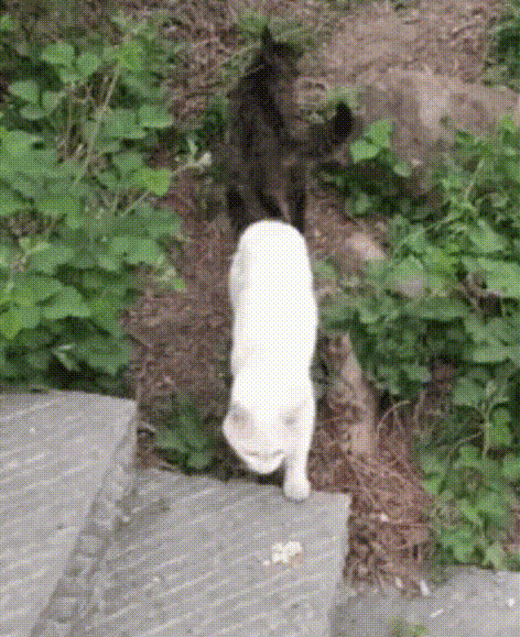 ���帣����ͼ�Ʒ�ϵ�� Ů����ҹ��į������������