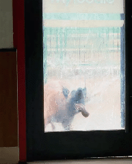 ���帣����ͼ�Ʒ�ϵ�� Ů����ҹ��į������������