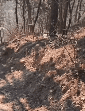 3DM����һ�̵�1653�� ������ż����˿��Ƭ�Ⱥӣ�