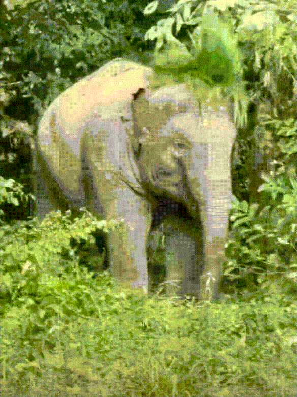 ���帣����ͼ�Ʒ�ϵ�� Ů����ҹ��į������������