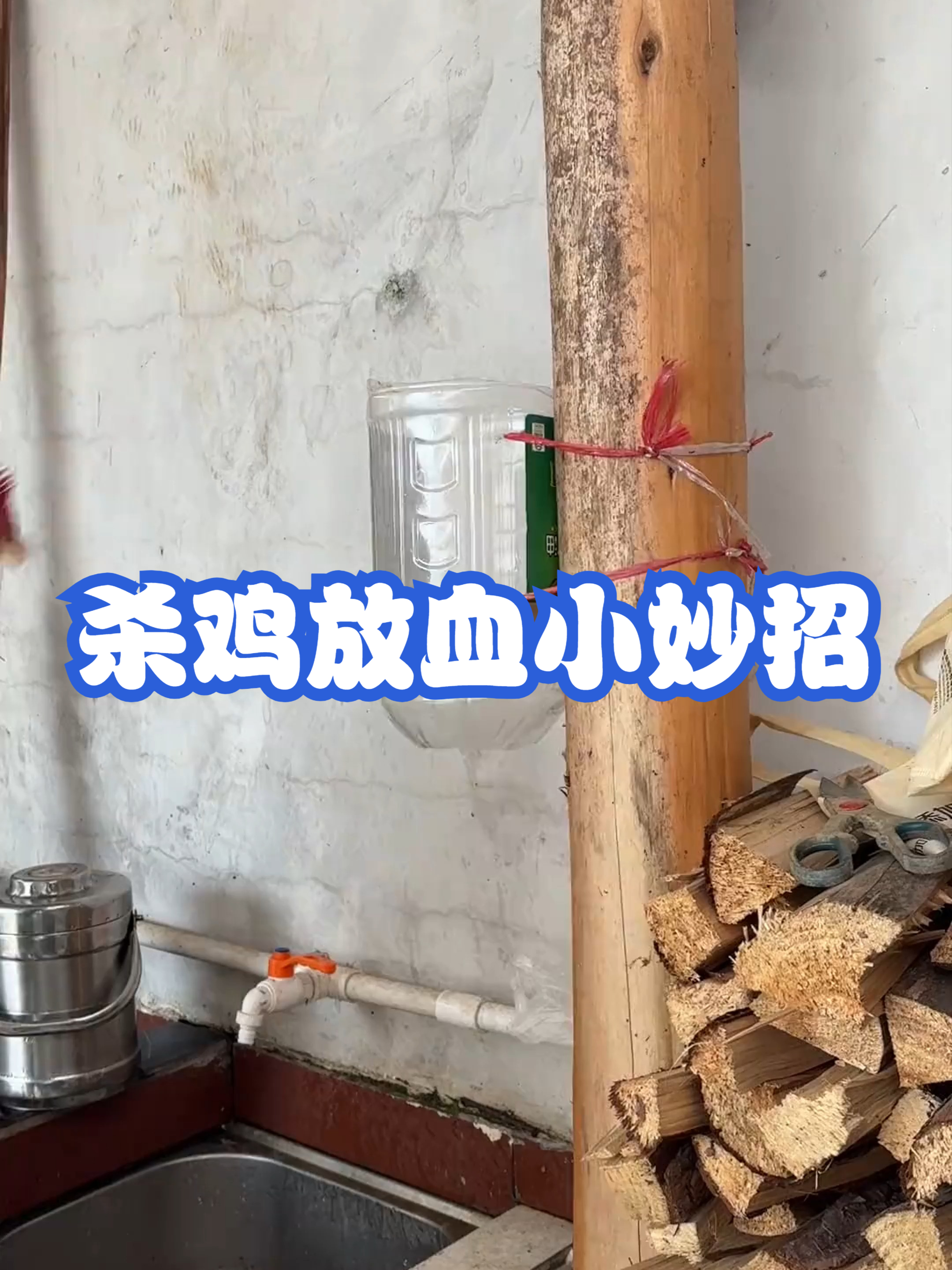 杀鸡放血小妙招#配音解说#