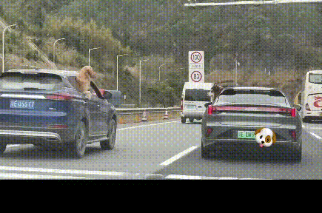 3DM����һ�̵�1655�� �л������Ů����ʲô����