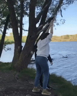 3DM����һ�̵�1655�� �л������Ů����ʲô����