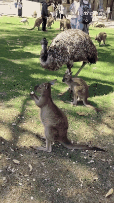 3DM����һ�̵�1655�� �л������Ů����ʲô����