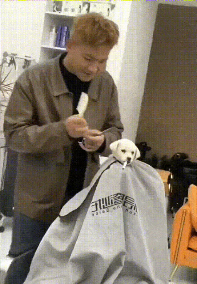 3DM����һ�̵�1655�� �л������Ů����ʲô����