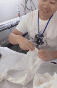 3DM����һ�̵�1655�� �л������Ů����ʲô����