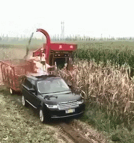 3DM����һ�̵�1656�� ��Ů��ô����Ұ�����ࣿ