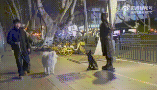 3DM����һ�̵�1656�� ��Ů��ô����Ұ�����ࣿ