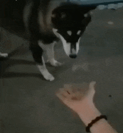 3DM����һ�̵�1656�� ��Ů��ô����Ұ�����ࣿ