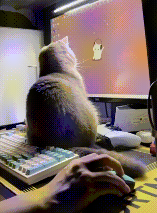 3DM����һ�̵�1655�� �л������Ů����ʲô����