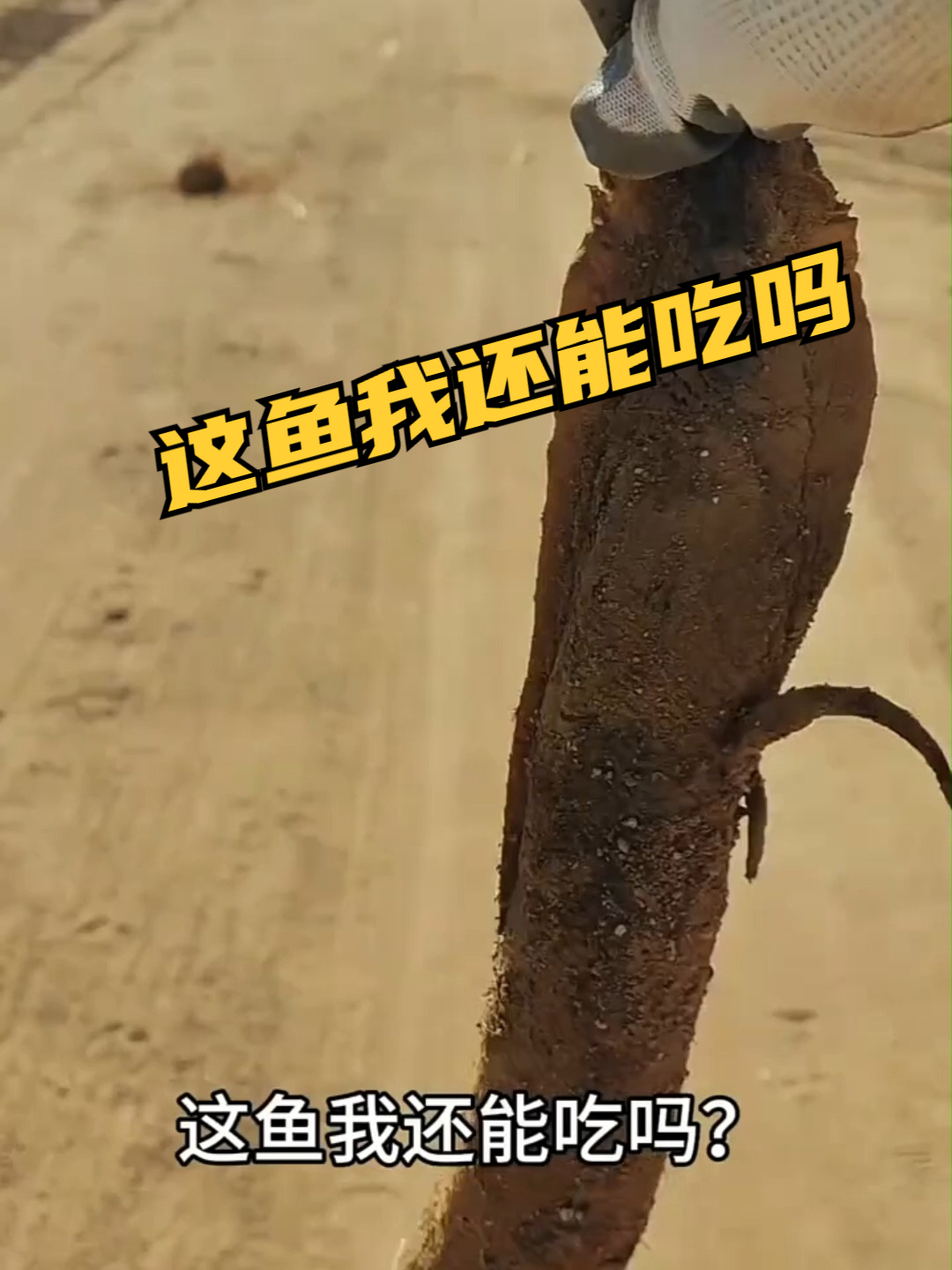 这鱼我还能吃吗？