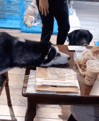 ���帣����ͼ�Ʒ�ϵ�� ���뿴����Ů��������ɶ��