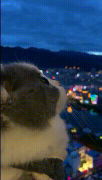 ���帣����ͼ�Ʒ�ϵ�� ���뿴����Ů��������ɶ��