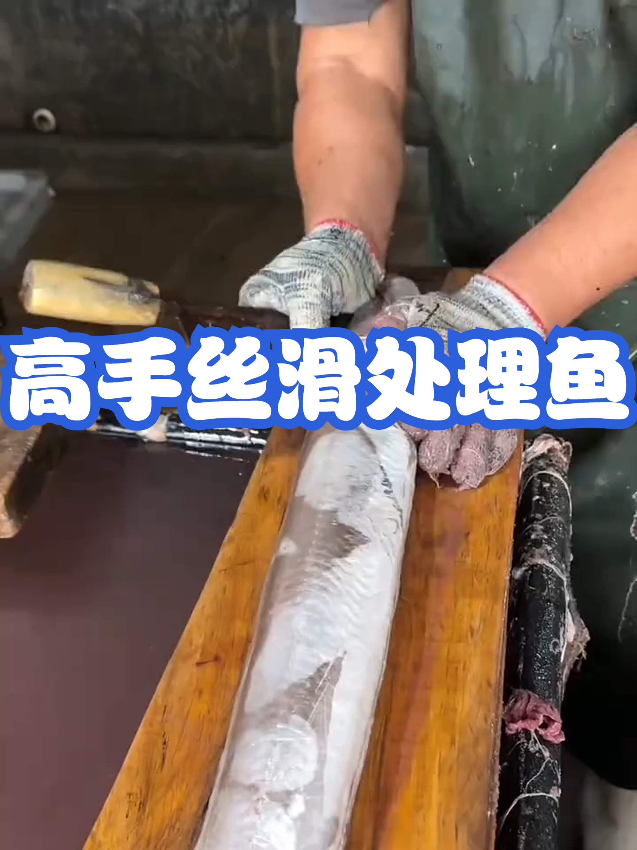 高手丝滑处理鱼#配音解说#