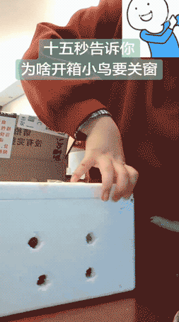 ���帣����ͼ�Ʒ�ϵ�� �Ŵ�����ϲ����������ԭ��