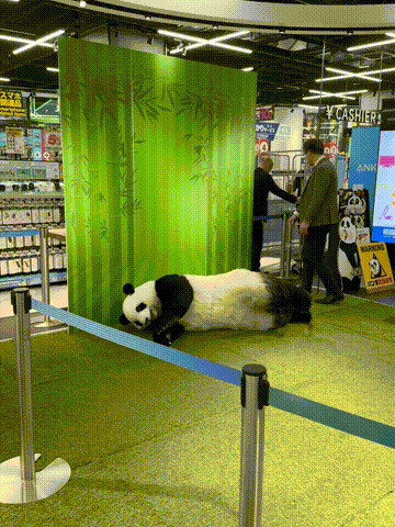 ���帣����ͼ�Ʒ�ϵ�� �Ŵ�����ϲ����������ԭ��