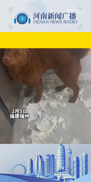 ���帣����ͼ�Ʒ�ϵ�� �Ŵ�����ϲ����������ԭ��