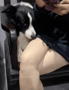 ���帣����ͼ�Ʒ�ϵ�� �Ŵ�����ϲ����������ԭ��