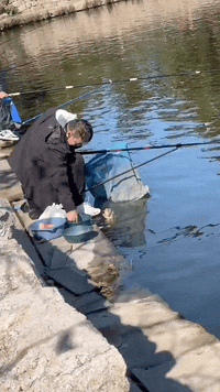 ���帣����ͼ�Ʒ�ϵ�� �Ŵ�����ϲ����������ԭ��