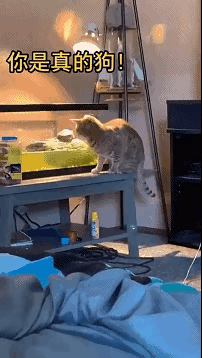 3DM����һ�̵�1673�� Ů�������β��¶������