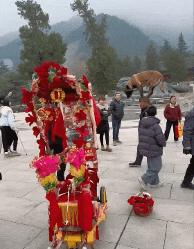 ���帣����ͼ�Ʒ�ϵ�� �Ŵ�����ϲ����������ԭ��