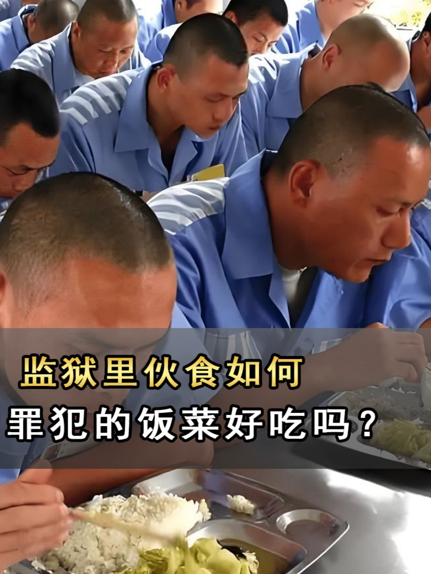 监狱里伙食如何?罪犯的饭菜好吃吗?真能吃到“海鲜加餐”?#教育焕新计划#