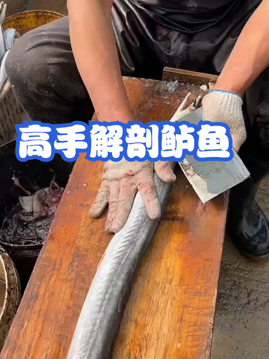 高手解剖鲈鱼#配音解说#