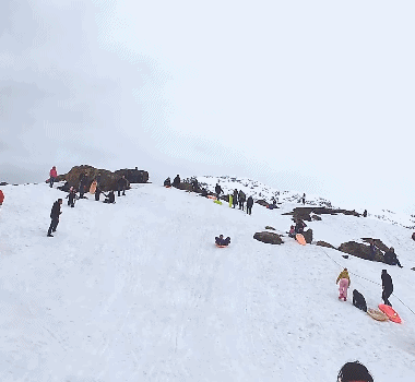 ��һ�ں���ͼ�Ʒ�ϵ�� ��Ů�²������������ʱ��