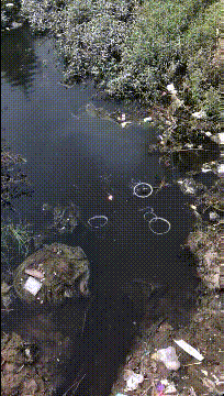 ���帣����ͼ�Ʒ�ϵ�� ���ܵ��ɷ���ô���ڻ�����