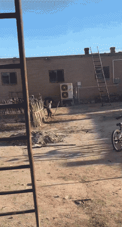 ���帣����ͼ�Ʒ�ϵ�� ���ܵ��ɷ���ô���ڻ�����