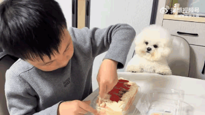 3DM����һ�̵�1677�� �ձ�ϱ��������ʲô�»���