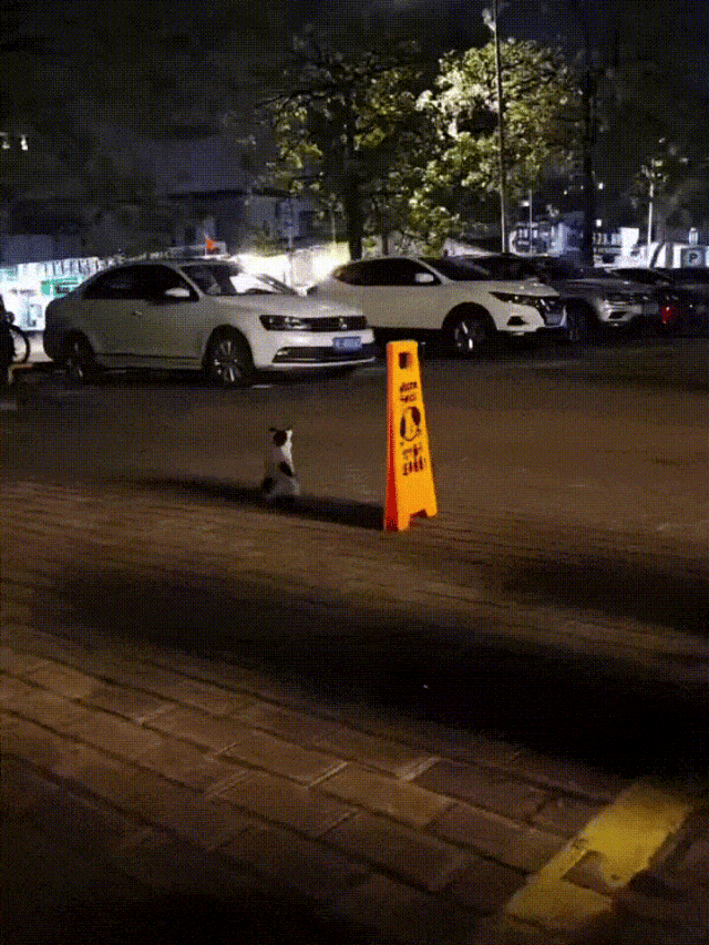 ���帣����ͼ�Ʒ�ϵ�� ���ܵ��ɷ���ô���ڻ�����