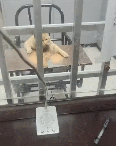 ���帣����ͼ�Ʒ�ϵ�� ���ܵ��ɷ���ô���ڻ�����