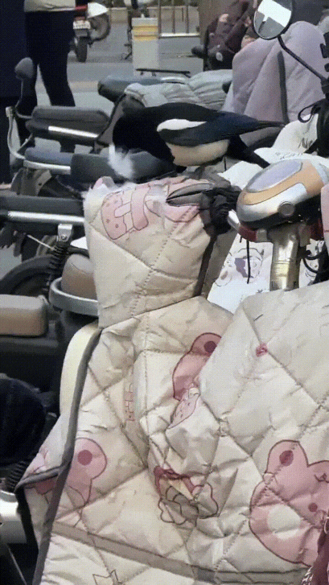 ���帣����ͼ�Ʒ�ϵ�� ���ܵ��ɷ���ô���ڻ�����