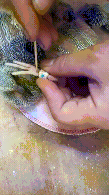 3DM����һ�̵�1677�� �ձ�ϱ��������ʲô�»���