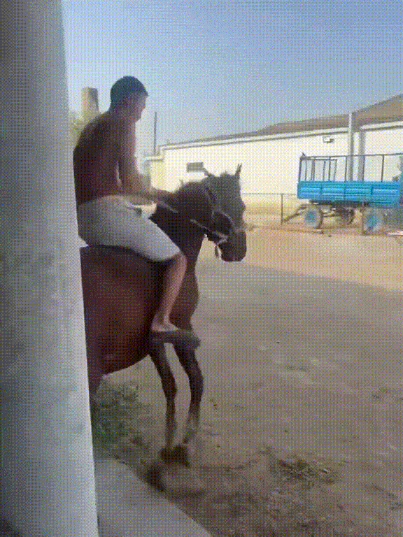 ���帣����ͼ�Ʒ�ϵ�� ���ܵ��ɷ���ô���ڻ�����