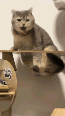 3DM����һ�̵�1677�� �ձ�ϱ��������ʲô�»���