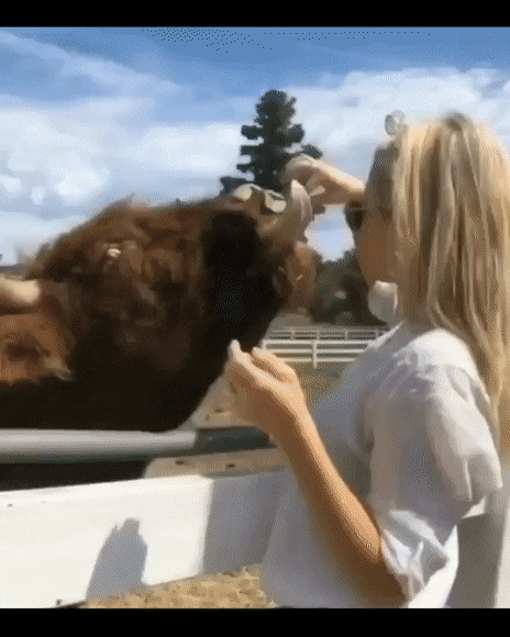 3DM����һ�̵�1677�� �ձ�ϱ��������ʲô�»���