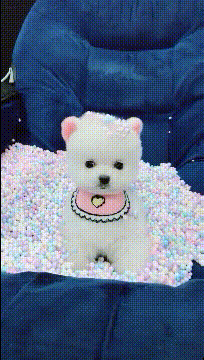 3DM����һ�̵�1677�� �ձ�ϱ��������ʲô�»���