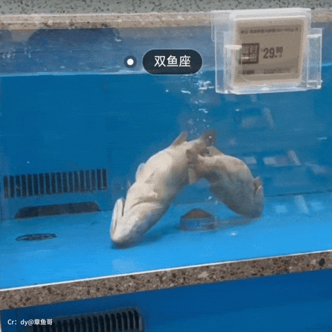 ��һ�ں���ͼ�Ʒ�ϵ�� �Ż���Ů�˳ɹ�������ע��