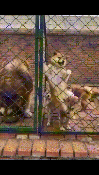 ��һ�ں���ͼ�Ʒ�ϵ�� �Ż���Ů�˳ɹ�������ע��