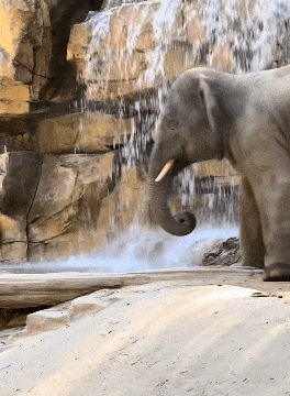 ��һ�ں���ͼ�Ʒ�ϵ�� �Ż���Ů�˳ɹ�������ע��