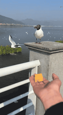 3DM����һ�̵�1679�� ��ǰ�����ڵ���Ϸ�ؾ�����