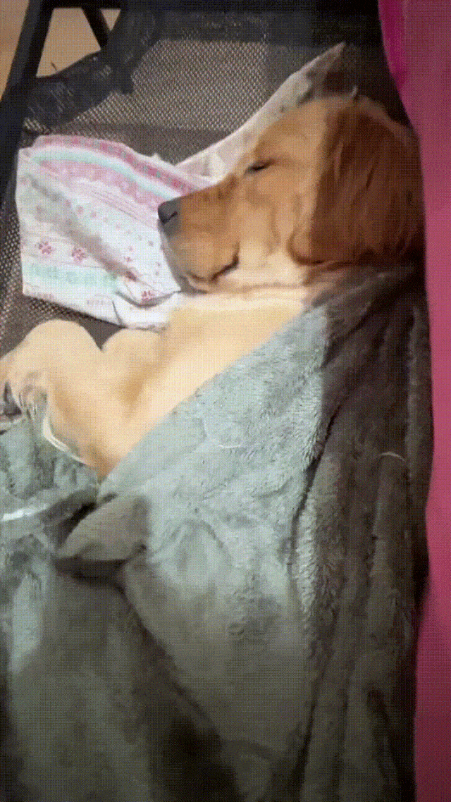 3DM����һ�̵�1679�� ��ǰ�����ڵ���Ϸ�ؾ�����