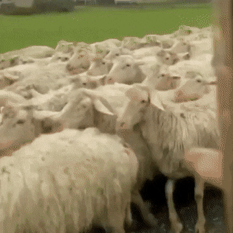 3DM����һ�̵�1679�� ��ǰ�����ڵ���Ϸ�ؾ�����