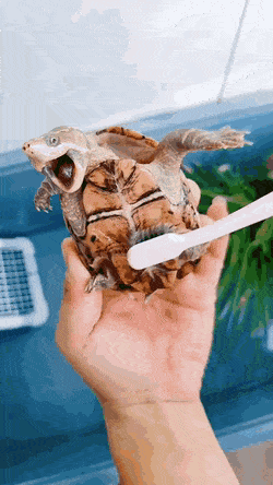 3DM����һ�̵�1679�� ��ǰ�����ڵ���Ϸ�ؾ�����