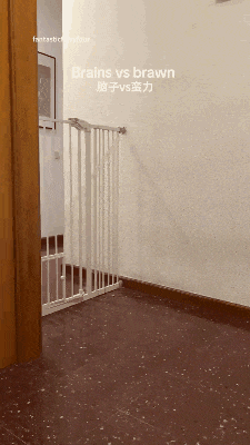 3DM����һ�̵�1679�� ��ǰ�����ڵ���Ϸ�ؾ�����