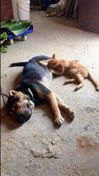 ��һ�ں���ͼ�Ʒ�ϵ�� �Ż���Ů�˳ɹ�������ע��