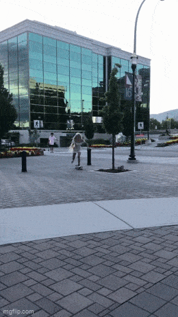 ��һ�ں���ͼ�Ʒ�ϵ�� �Ż���Ů�˳ɹ�������ע��