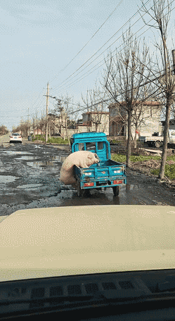 ���帣����ͼ�Ʒ�ϵ�� ��Ů�����Ҳ̫����˰�